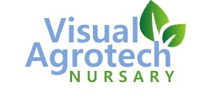 Visual Agrotech Nursery